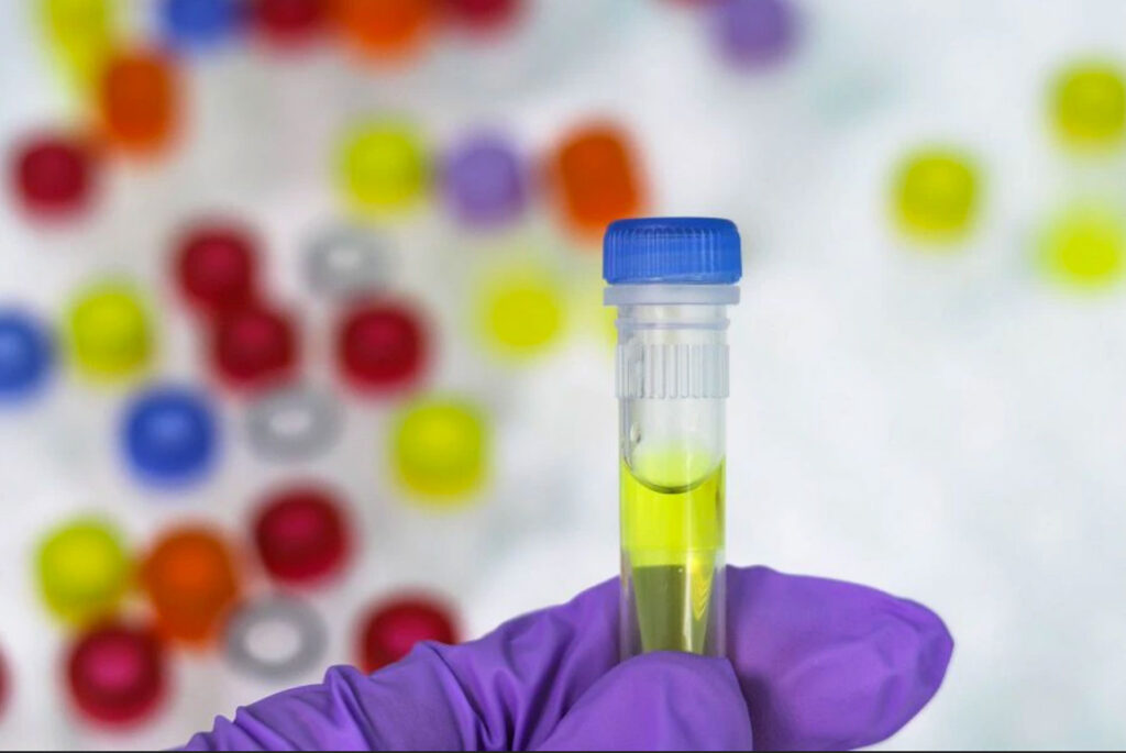 Evelyn Isla y Pamela Medina